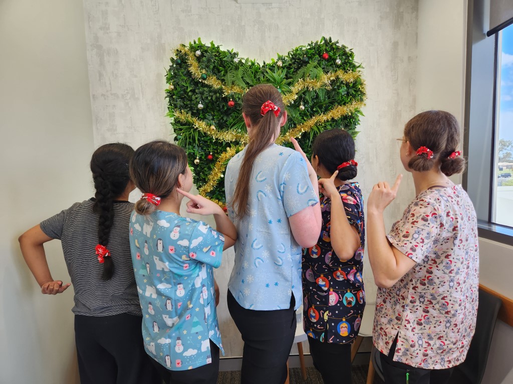 🎄✨ Scrunchie Squad, Holiday Edition! 🎅🦷