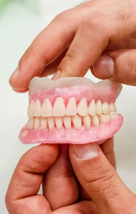 dentist holding model teeth plate dentures