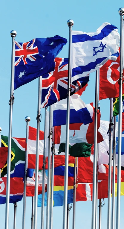 About Multi Lingual